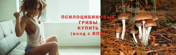 героин Сатка